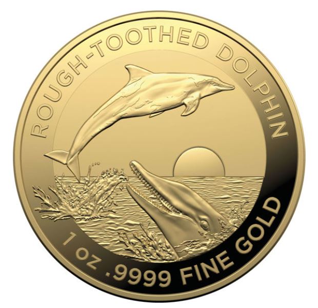 Thumbnail for 2023 $100 Australian Dolphin Series Rough Toothed Dolphin 1oz GOLD (RAM) Investment Coin