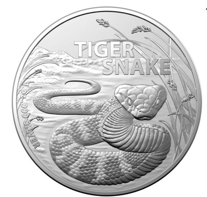 Thumbnail for 2024 $1 Australia's Most Dangerous - Tiger Snake 1oz Fine Silver Investment Coin in Capsule (RAM)