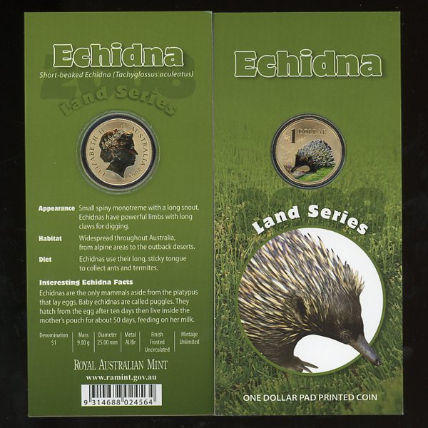 Thumbnail for 2008  - Land Series - Echnida