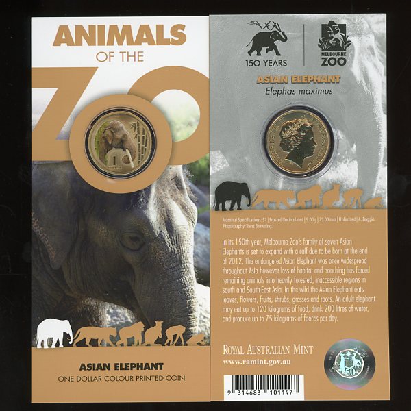 Thumbnail for 2012 Zoo Series - Asian Elephant