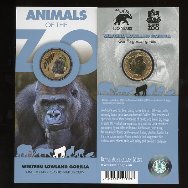 Thumbnail for 2012 Zoo Series - Western Lowland Gorilla