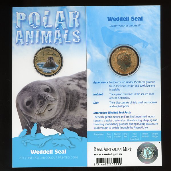 Thumbnail for 2013 Polar Series - Weddell Seal
