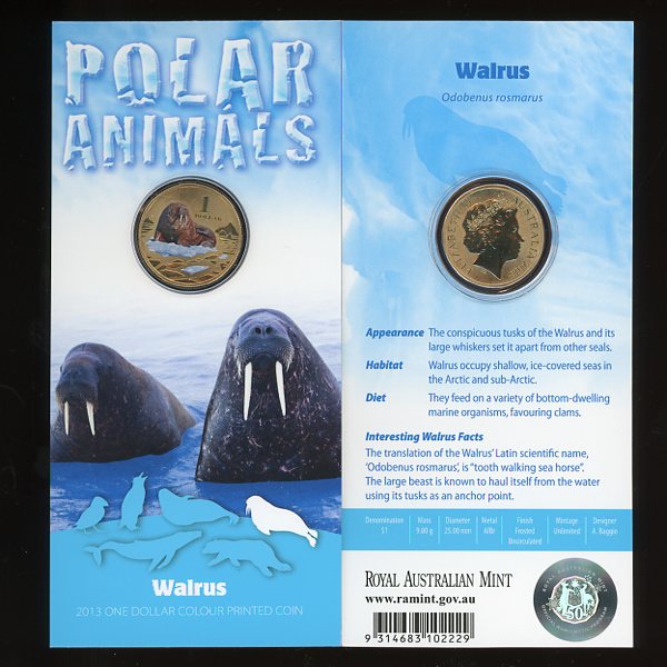 Thumbnail for 2013 Polar Series - Walrus