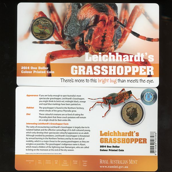 Thumbnail for 2014 Bright Bugs - Leichhardt's Grasshopper 