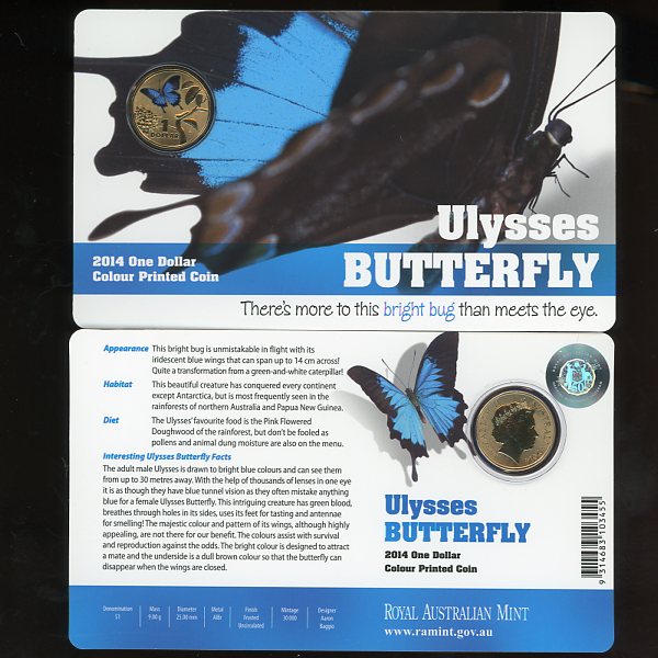 Thumbnail for 2014 Bright Bugs - Ulysses Butterfly 