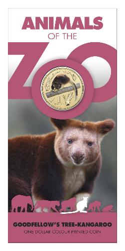 Thumbnail for 2012 Zoo Series - Goodfellow's Tree Kangaroo