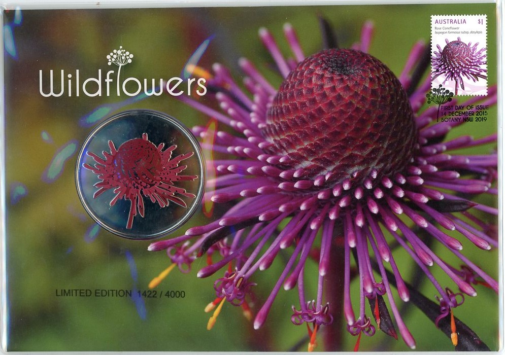 Thumbnail for 2015 Wildflowers - Rose Coneflower PNC