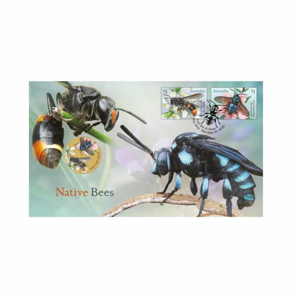 Thumbnail for 2019 Issue 17 Native Bees