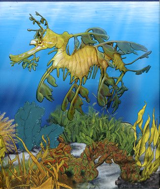 Thumbnail for 2009 Australian Sea Life Half oz Coloured Silverproof- Leafy Sea Dragon