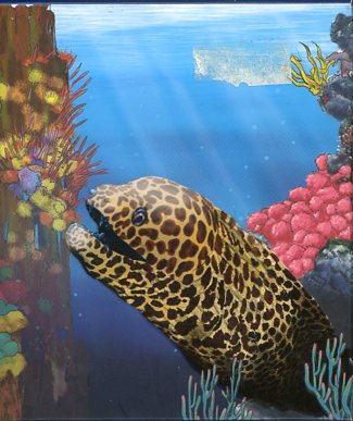 Thumbnail for 2010 Australian Sea Life Half oz Coloured Silverproof - Moray Eel