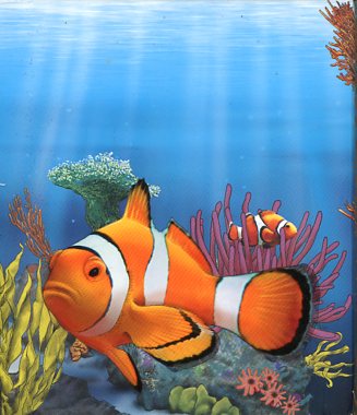 Thumbnail for 2010 Australian Sea Life Half oz Coloured Silverproof - Clown Fish
